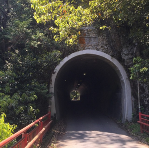 府道50号線トンネル