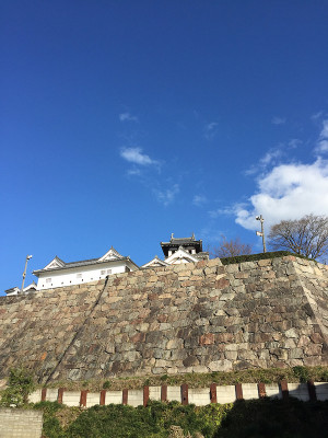 福知山城を西から見上げる
