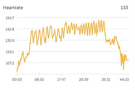heart rate graph
