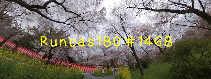 1468_2024/04/04 平野神社の桜は五分（献血翌日） 4.7km