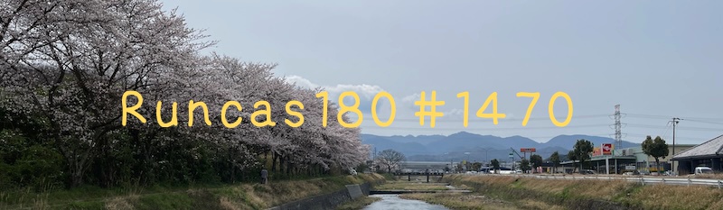 1470_2024/04/06 有馬川お花見ラン8.2km